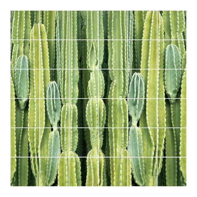 Tegelstickers Cactus Wall