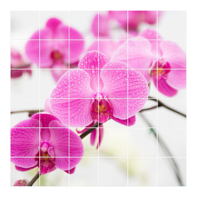Tegelstickers Close-Up Orchid