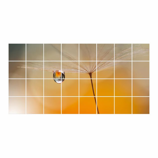 Tegelstickers Dandelion In Orange