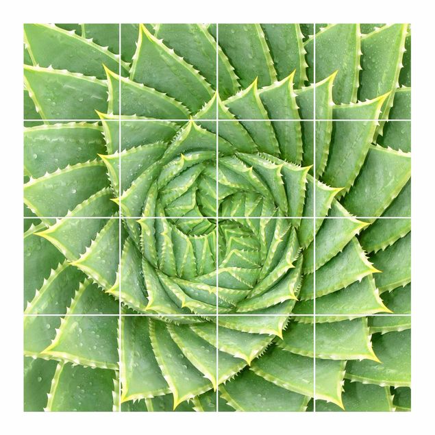 Tegelstickers Spiral Aloe