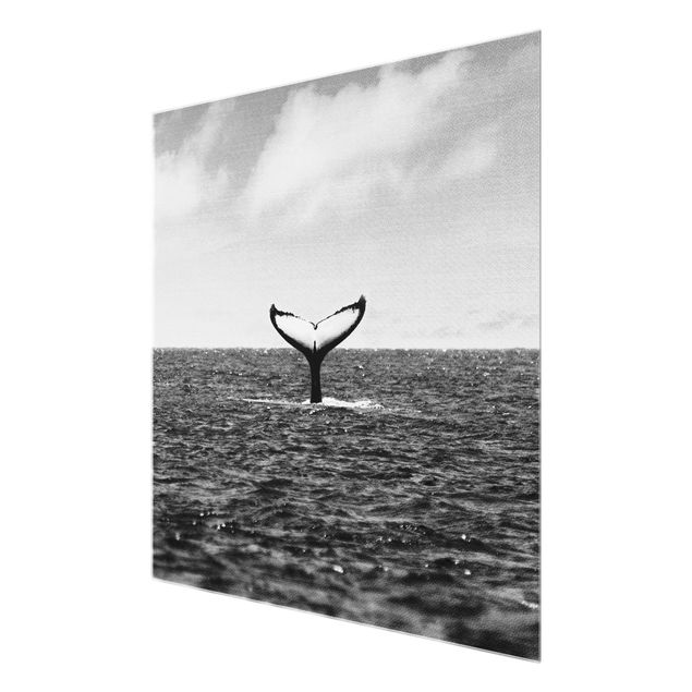 Glasschilderijen - Tail Fin In Mid Ocean