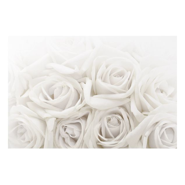 Forex schilderijen White Roses