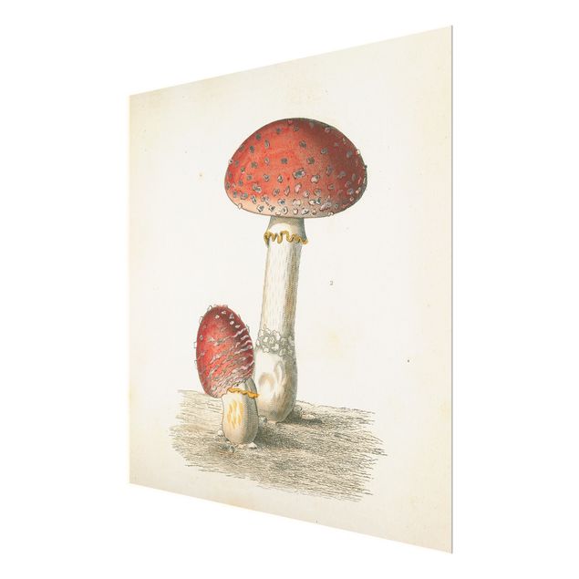 Glasschilderijen - French mushrooms II