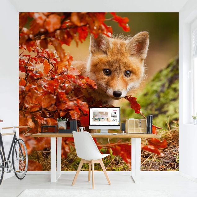 Fotobehang Fox In Autumn