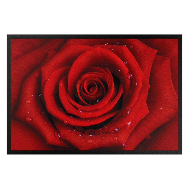 Vloerkleed modern Red Rose With Water Drops