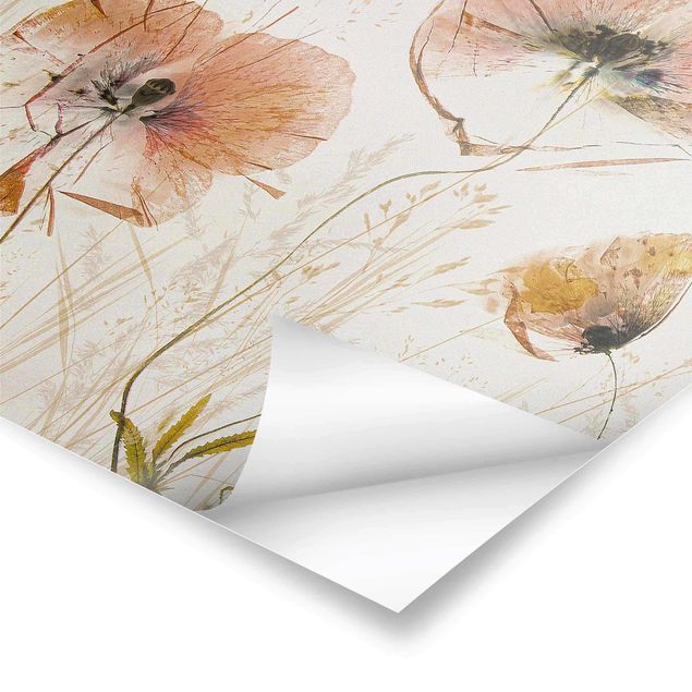 Posters Dried Poppy Flowers With Delicate Grasses