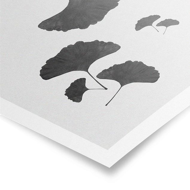 Posters Ginkgo Composition In Black And White