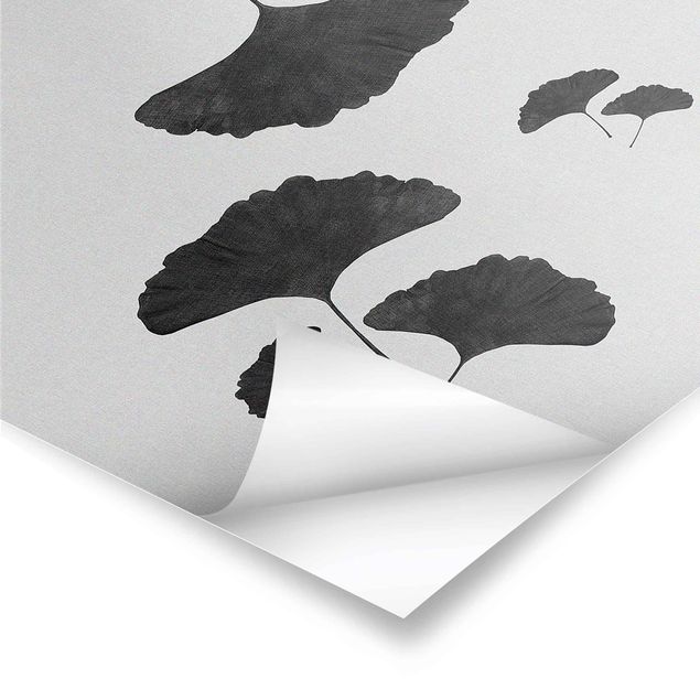 Posters Ginkgo Composition In Black And White