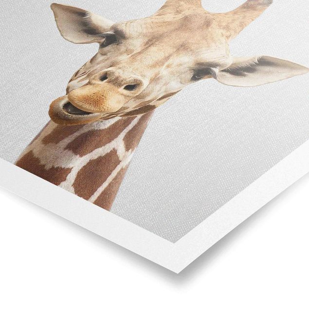 Poster - Giraffe Gundel - Quadrat 1:1