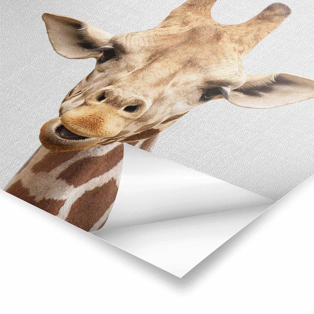Poster - Giraffe Gundel - Quadrat 1:1