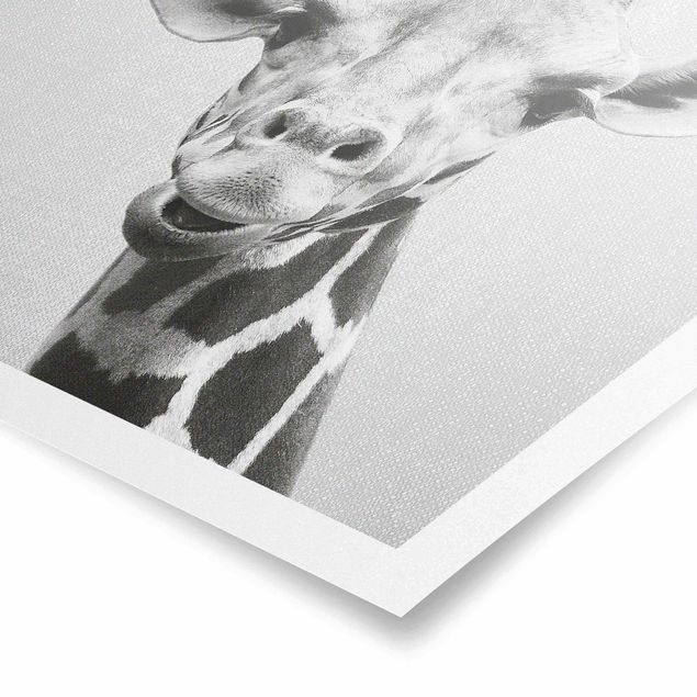 Poster - Giraffe Gundel Schwarz Weiß - Hochformat 3:4