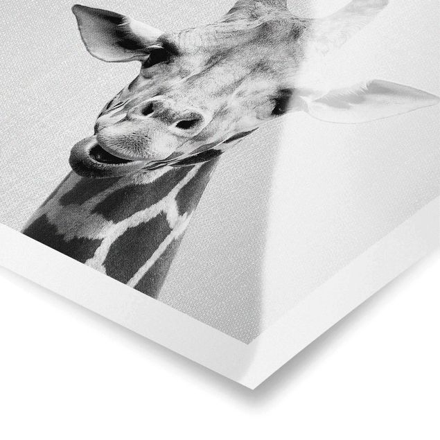 Poster - Giraffe Gundel Schwarz Weiß - Quadrat 1:1