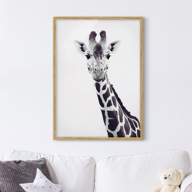 Ingelijste posters Giraffe Portrait In Black And White