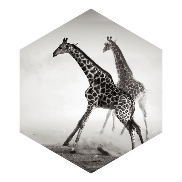 Hexagon Behang Giraffe Hunt