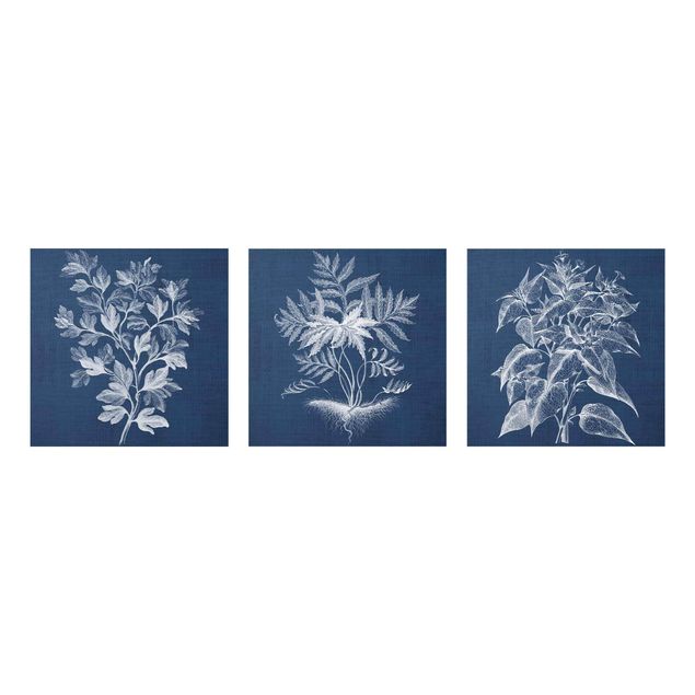 Glasschilderijen - 3-delig Denim Plant Study Set I