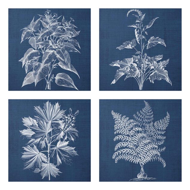 Glasschilderijen - 4-delig Denim Plant Study Set II
