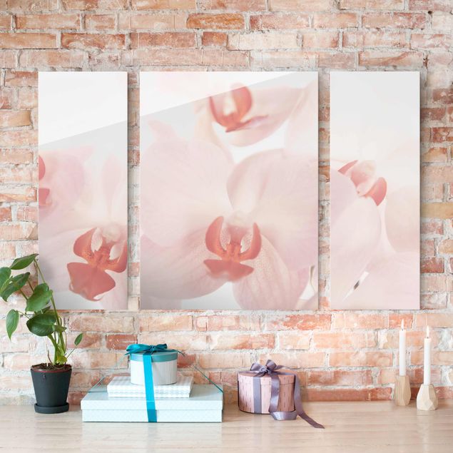 Glas Magnettafel Bright Orchid Flower Wallpaper - Svelte Orchids