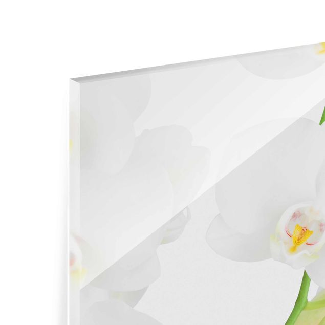 Glasschilderijen - 3-delig Orchids On Water