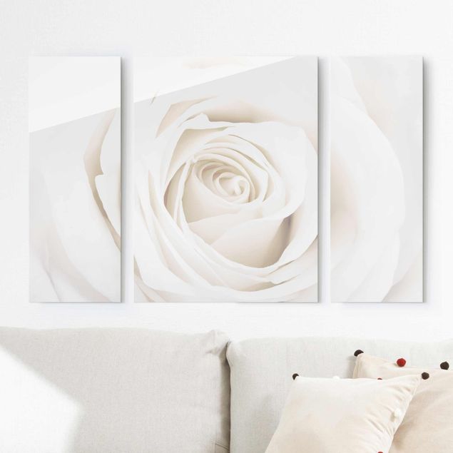 Glasschilderijen - 3-delig Pretty White Rose