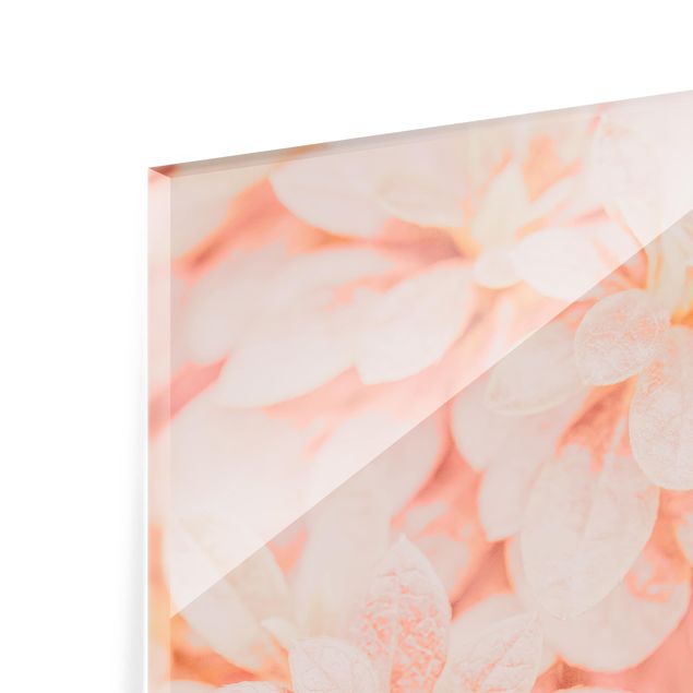 Glasschilderijen - 4-delig Pink Flower Magic