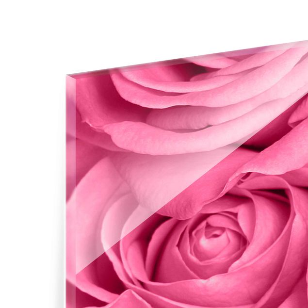 Glasschilderijen - 3-delig Pink Roses