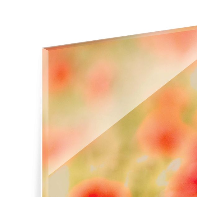 Glasschilderijen - 3-delig Summer Poppies