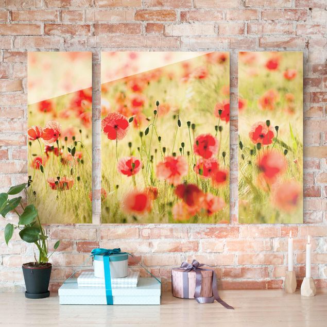 Glasschilderijen - 3-delig Summer Poppies