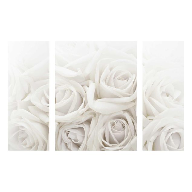 Glasschilderijen - 3-delig White Roses