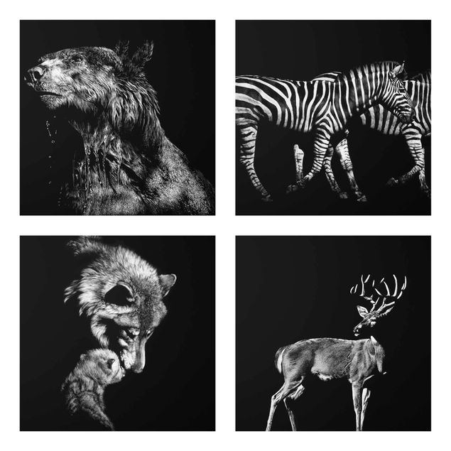 Glasschilderijen - 4-delig Wild Animals From Black Set I