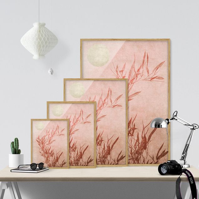 Ingelijste posters Golden Sun Pink Bamboo