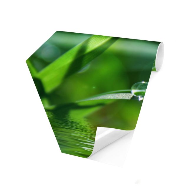 Hexagon Behang Green Ambiance II