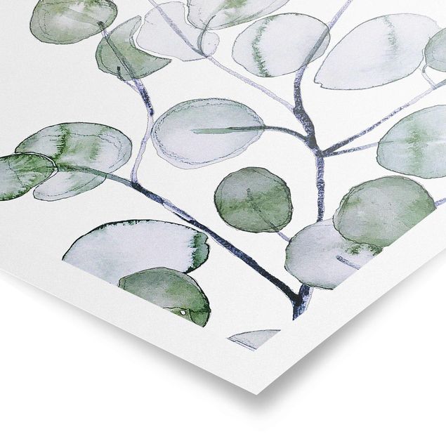 Posters Green Watercolour Eucalyptus Branch
