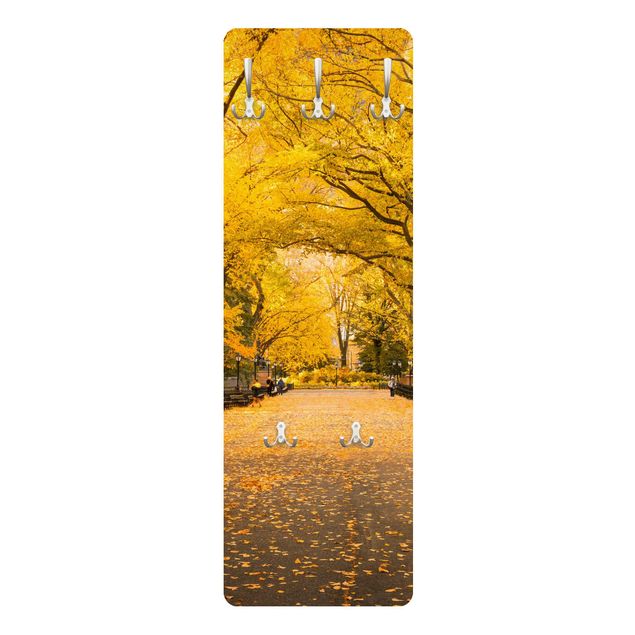 Wandkapstokken houten paneel Autumn In Central Park