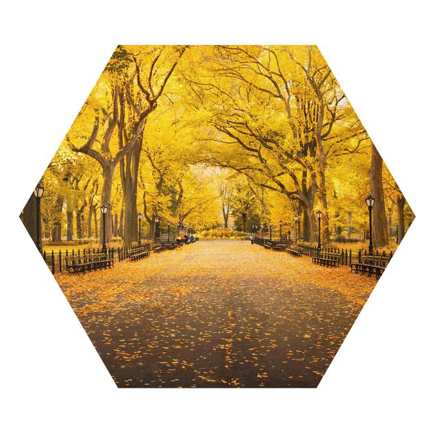 Hexagons Aluminium Dibond schilderijen Autumn In Central Park