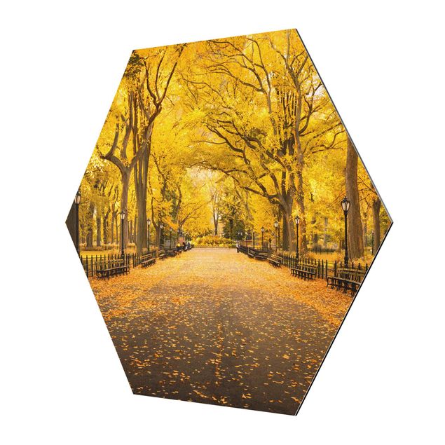 Hexagons Aluminium Dibond schilderijen Autumn In Central Park