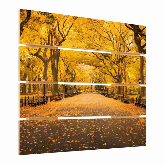 Houten schilderijen op plank Autumn In Central Park