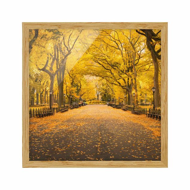 Ingelijste posters Autumn In Central Park