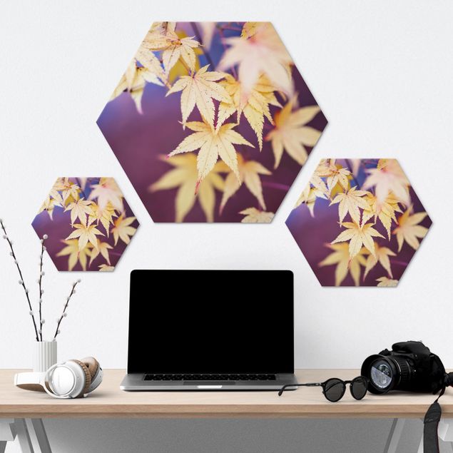 Hexagons Aluminium Dibond schilderijen Autumn Maple Tree
