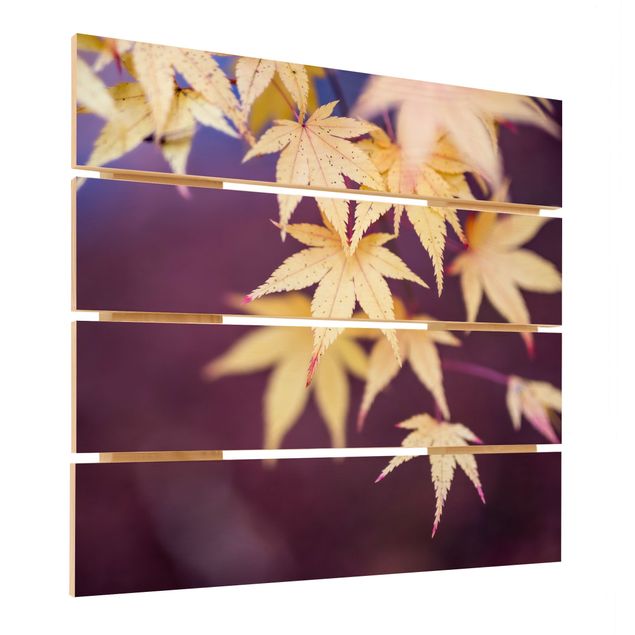 Houten schilderijen op plank Autumn Maple Tree