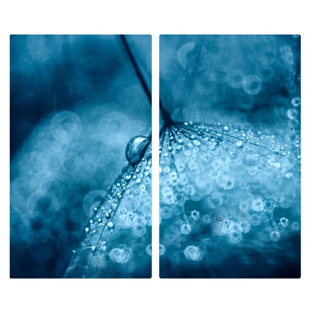 Kookplaat afdekplaten Blue Dandelion In The Rain