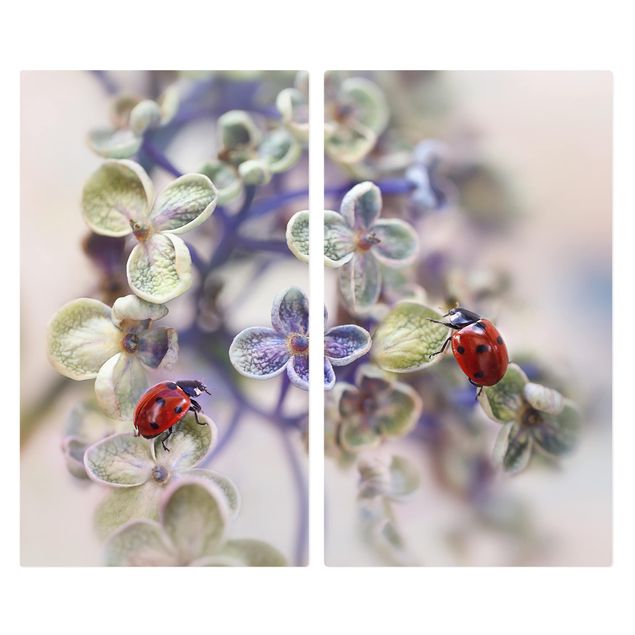Kookplaat afdekplaten Ladybird In The Garden