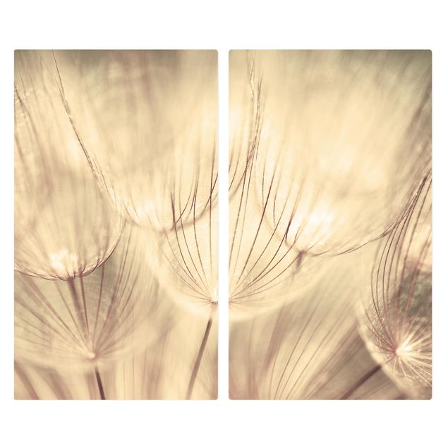 Kookplaat afdekplaten Dandelions Close-Up In Cozy Sepia Tones