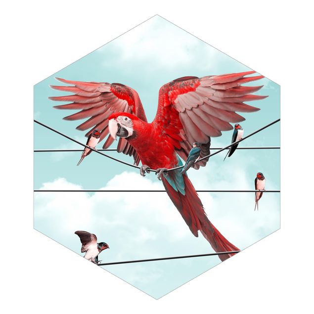 Hexagon Behang Sky With Birds