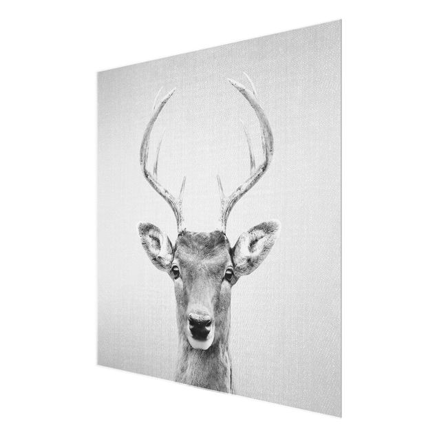 Glasschilderijen - Deer Heinrich Black And White