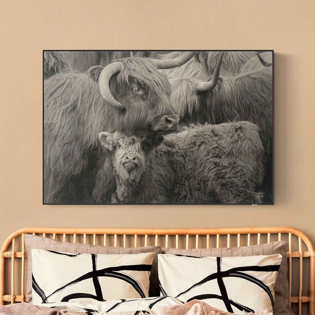 Akoestisch schilderij - Highland cattle family
