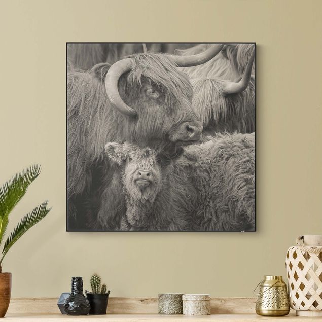 Verwisselbaar schilderij - Highland cattle family