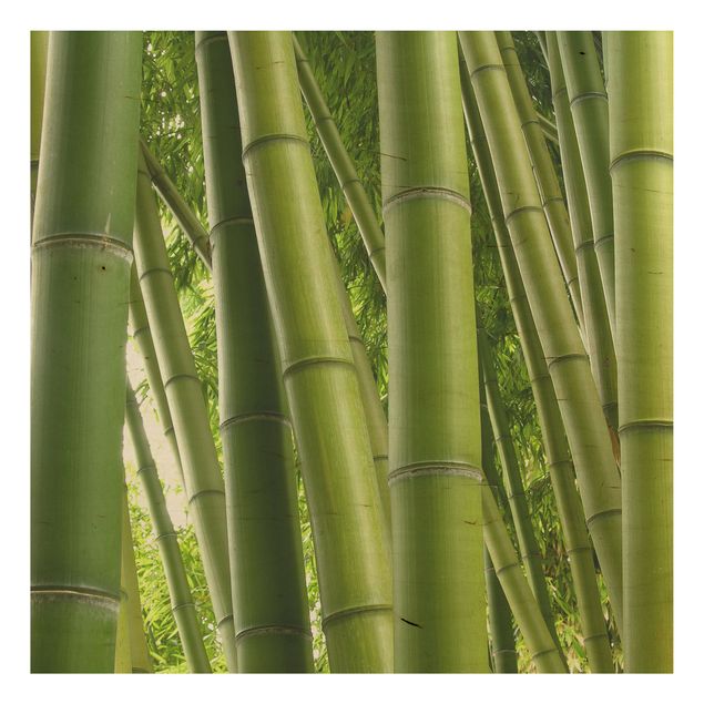 Houten schilderijen Bamboo Trees No.1