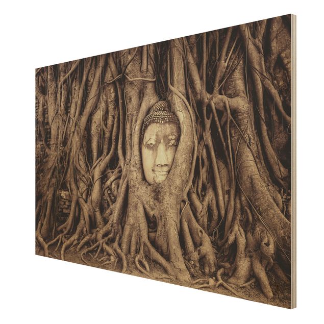 Houten schilderijen Buddha In Ayutthaya Lined From Tree Roots In Brown