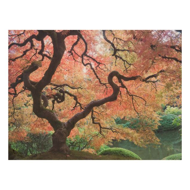 Houten schilderijen Japanese Garden
