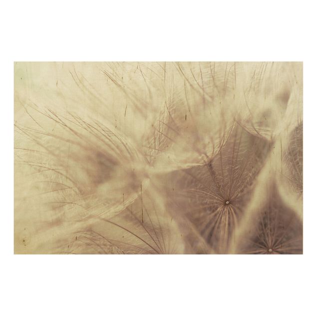 Houten schilderijen Detailed Dandelion Macro Shot With Vintage Blur Effect